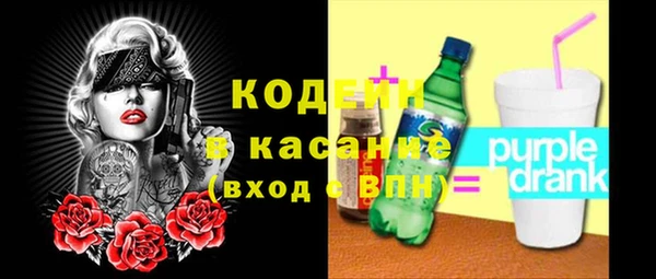 СК Ельня