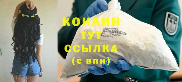 СК Ельня