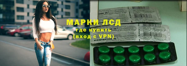 СК Ельня