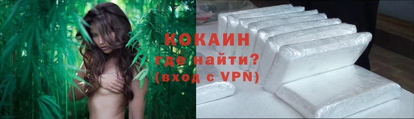 СК Ельня
