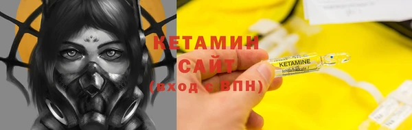 СК Ельня