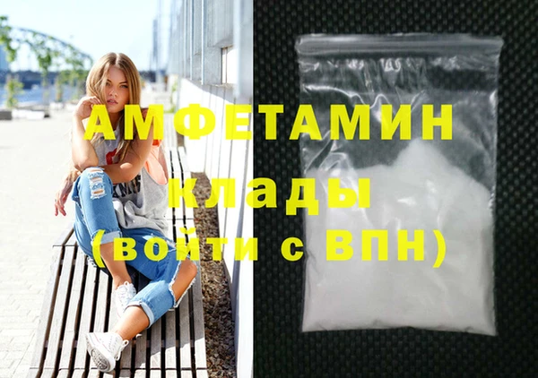 СК Ельня