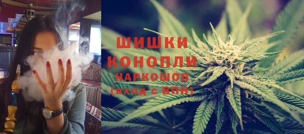 СК Ельня
