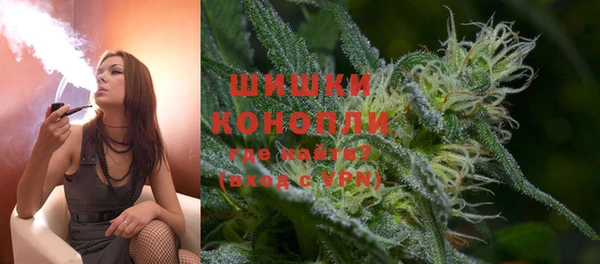 СК Ельня