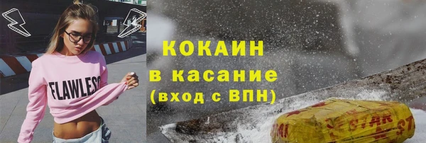 СК Ельня