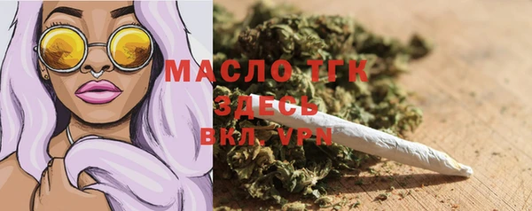 СК Ельня