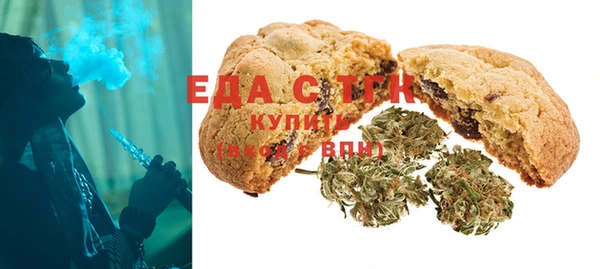 СК Ельня