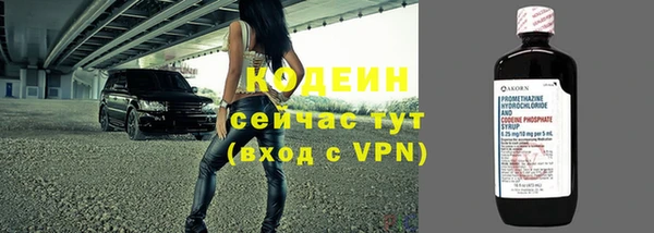 СК Ельня