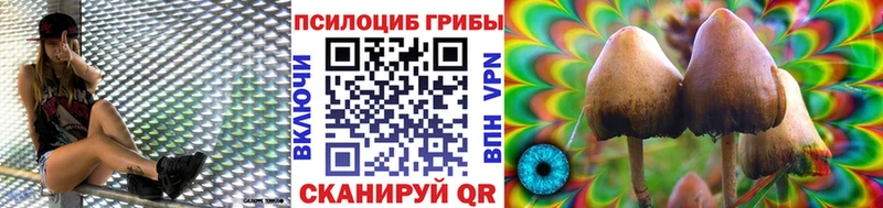 Галлюциногенные грибы прущие грибы  Миасс 
